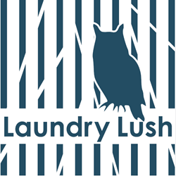 さいたま市のコインランドリー｜Laundry Lush（ランドリーラッシュ）